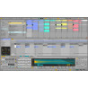 ABLETON LIVE 12 STANDARD EDU (DIGI)  - OPROGRAMOWANIE STUDYJNE