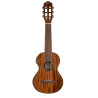 Ortega RGLE18ACA - GUITALELE ELKTROAKUSTYCZNE