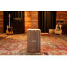 MEINL AETLGE CAJON ARTISAN STRING EDITION - POWYSTAWOWY
