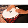 MEINL PADJ1-XL-G DJEMBE PHARAOH SCRIPT 14''