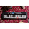 CASIO LK-S450 + STATYW