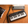 IK IRIG KEYS 2 MINI kompaktowy kontroler MIDI