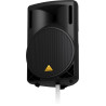 BEHRINGER B215D - Kolumna aktywna