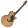 TAKAMINE P1NC