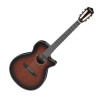 IBANEZ AEG74N MHS - GITARA ELEKTROKLASYCZNA