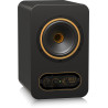 TANNOY GOLD 5
