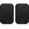 TANNOY VMS 1 PARA