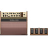 TC HELICON HARMONY V100 COMBO 100W