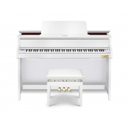 CASIO GP-310 WE + ŁAWA
