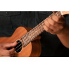 ORTEGA RFU11S UKULELE KONCERTOWE
