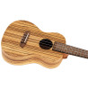 ORTEGA RFU11Z UKULELE KONCERTOWE