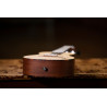 ORTEGA RU5 UKULELE KONCERTOWE