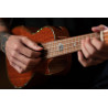 ORTEGA ECLIPSE-CC4 UKULELE KONCERTOWE