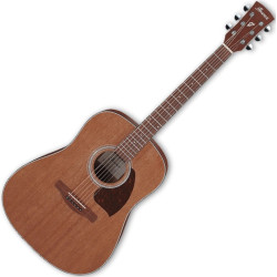 IBANEZ AAM54-OPN - GITARA...