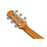 IBANEZ AAM54-OPN - GITARA AKUSTYCZNA