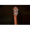 ORTEGA RU5CE-TE UKULELE TENOROWE