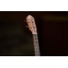 ORTEGA RU5MM-TE UKULELE TENOROWE