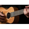 ORTEGA RUMG UKULELE KONCERTOWE
