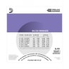 D'ADDARIO EJ13