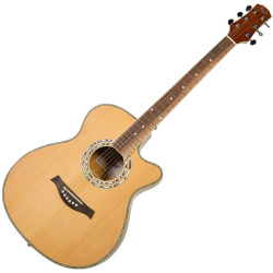 FLIGHT F-230C NA - GITARA...