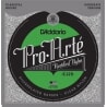 D'ADDARIO EJ29