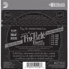 D'ADDARIO EJ29