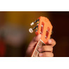 ORTEGA RUGA-ORG - UKULELE TENOROWE - POWYSTAWOWE