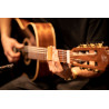 ORTEGA OWS-L - SLIDE GITAROWY