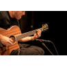 ORTEGA OWS-L - SLIDE GITAROWY