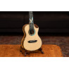 ORTEGA EAGLESUITE-U - UKULELE KONCERTOWE