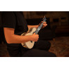 ORTEGA EAGLESUITE-U - UKULELE KONCERTOWE