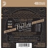D'ADDARIO EJ50