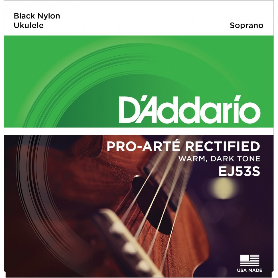 D'ADDARIO EJ53S