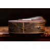 ORTEGA LIZARD-CC-GB - UKULELE KONCERTOWE