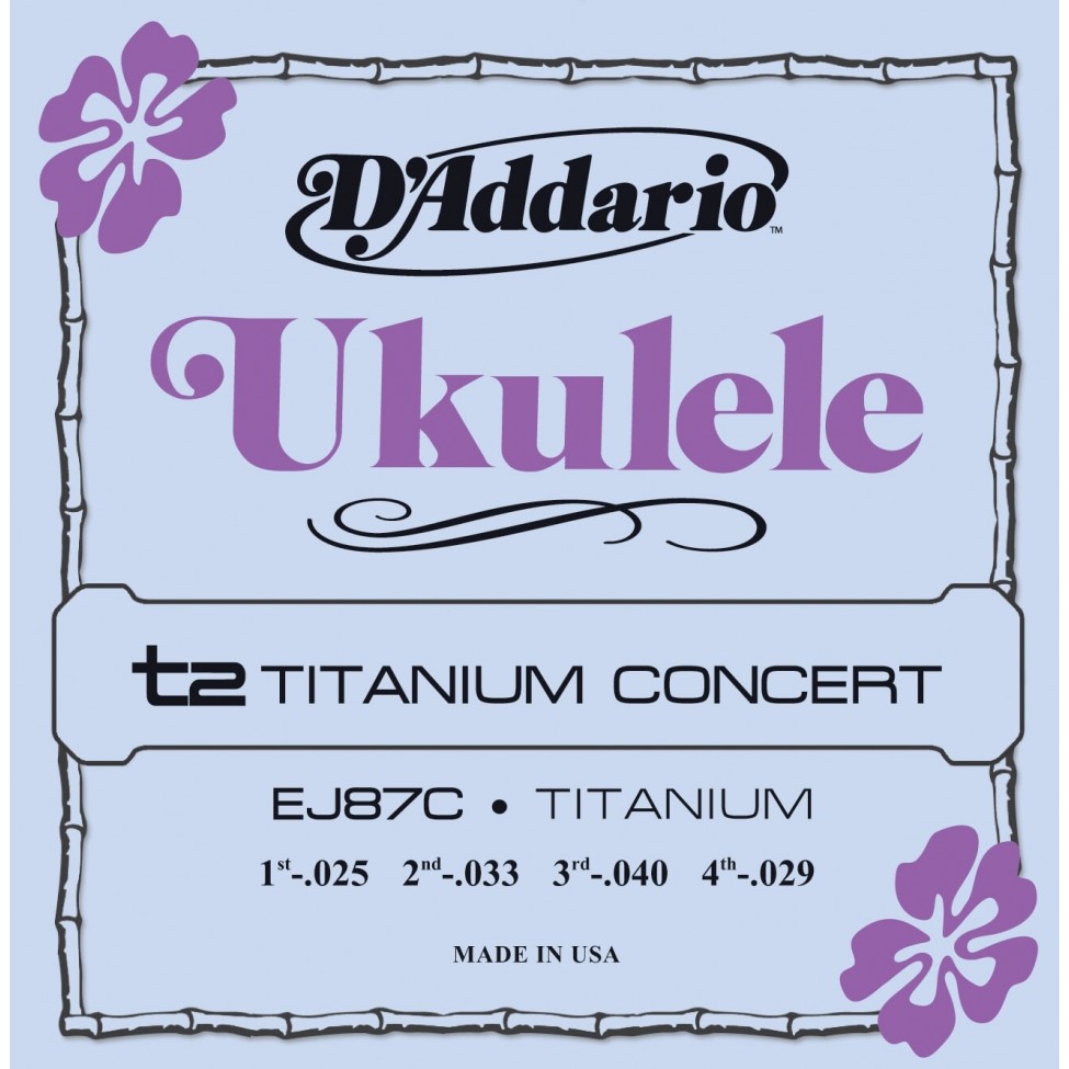 D'ADDARIO EJ87C