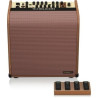 Tc Helicon Harmony V100 Combo Do Instrumentów Akustycznych 100W