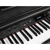 MEDELI DP 460 K - PIANINO CYFROWE