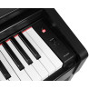 MEDELI DP 280 K - PIANINO CYFROWE