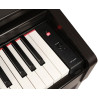 MEDELI DP 280 K RW - PIANINO CYFROWE