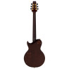 Aria Pe-8440 Ge (Smgr)