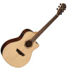 Washburn Wlo 20 Sce (N)