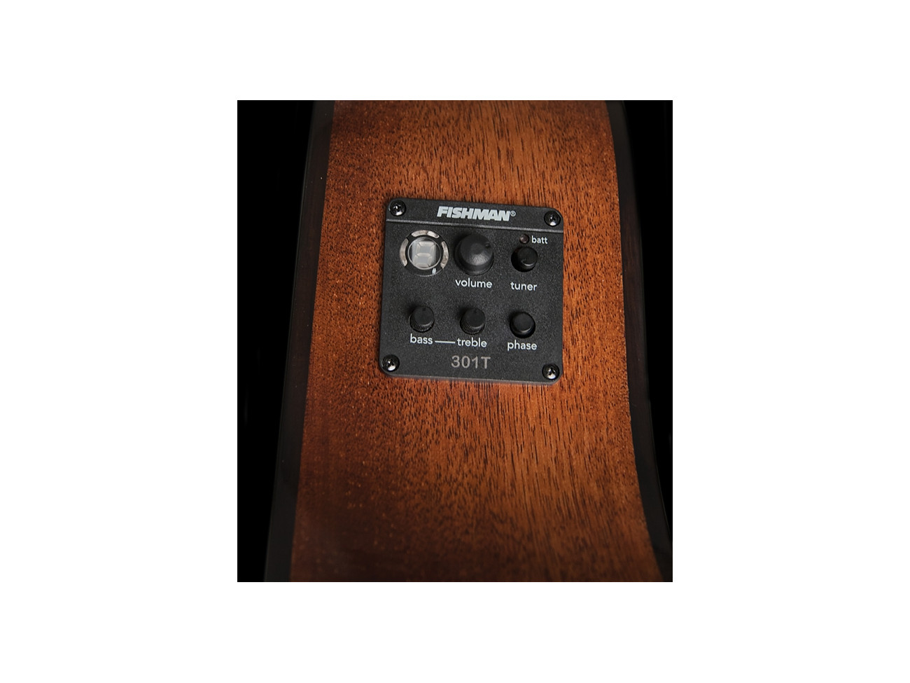 Washburn Wlo 12 Se (N)