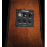 Washburn Wlo 12 Se (N)