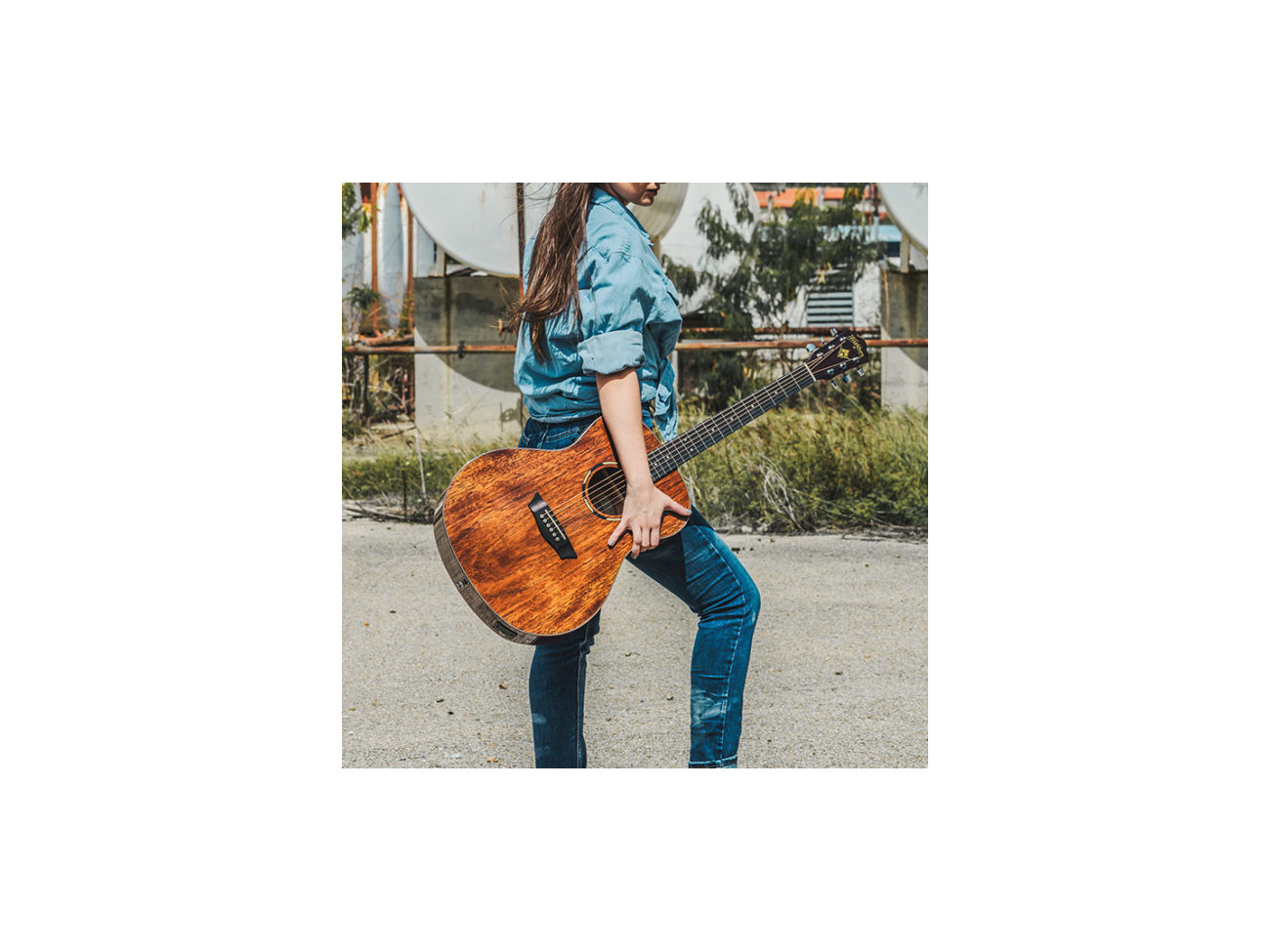 Washburn Wlo 12 Se (N)