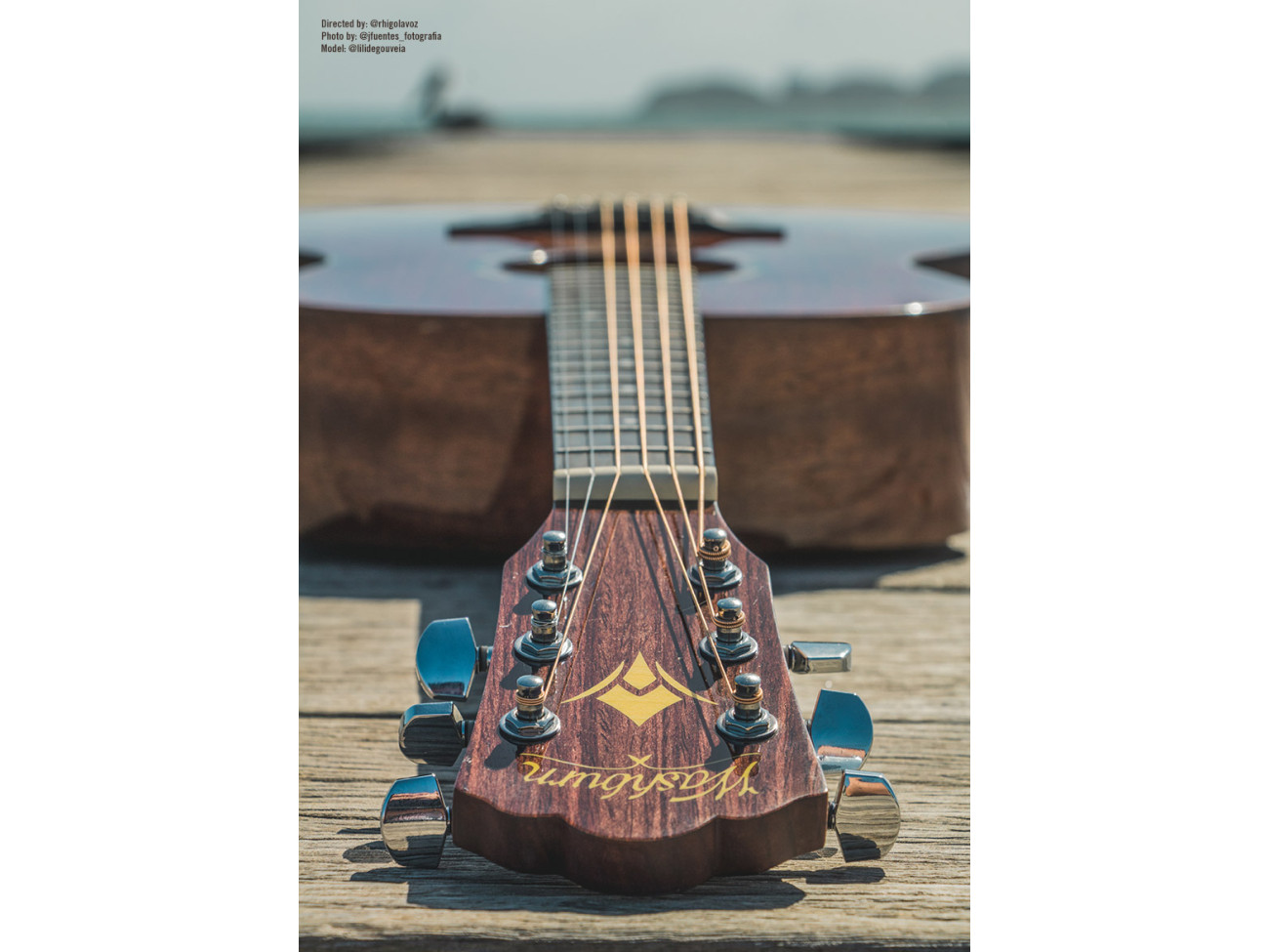 Washburn Wlo 12 Se (N)
