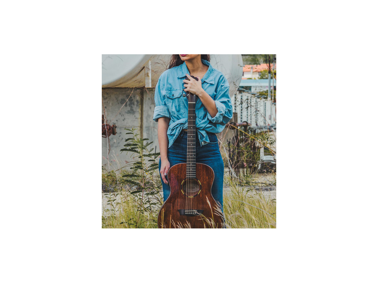 Washburn Wlo 12 Se (N)