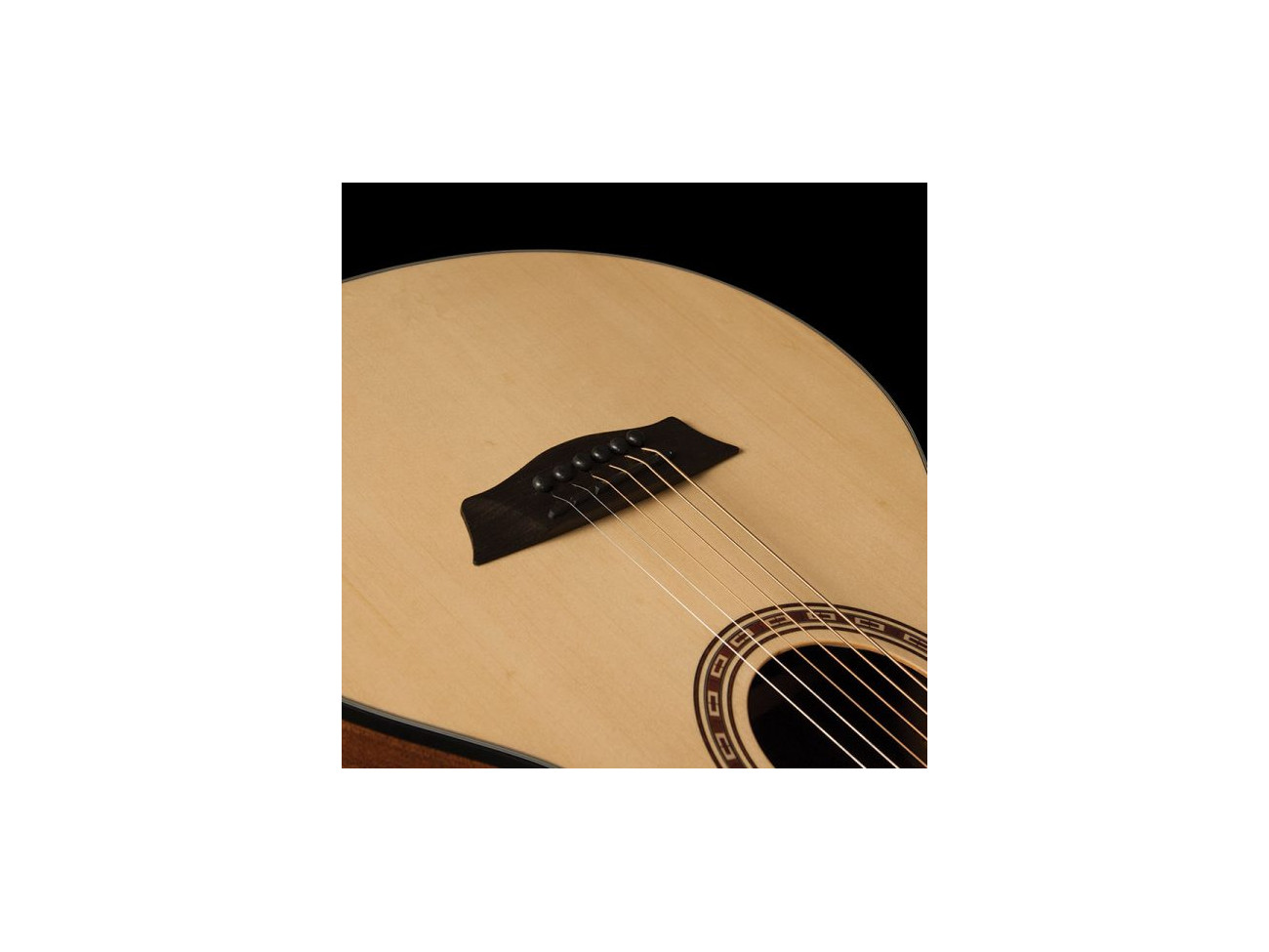 Washburn Agm 5 (N)