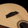 Washburn Agm 5 (N)