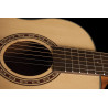 Washburn Agm 5 (N)