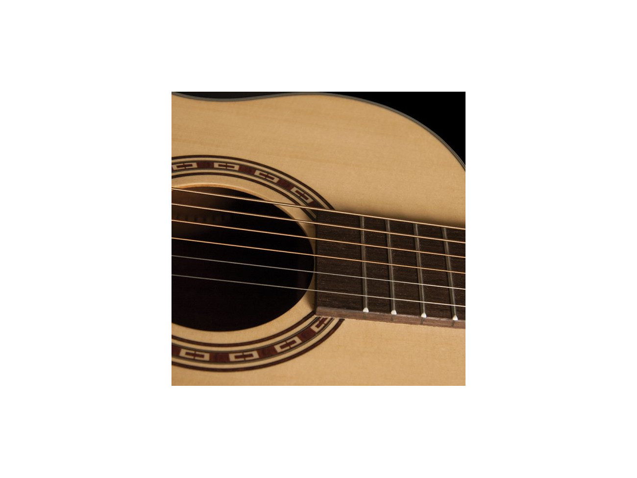 Washburn Agm 5 (N)